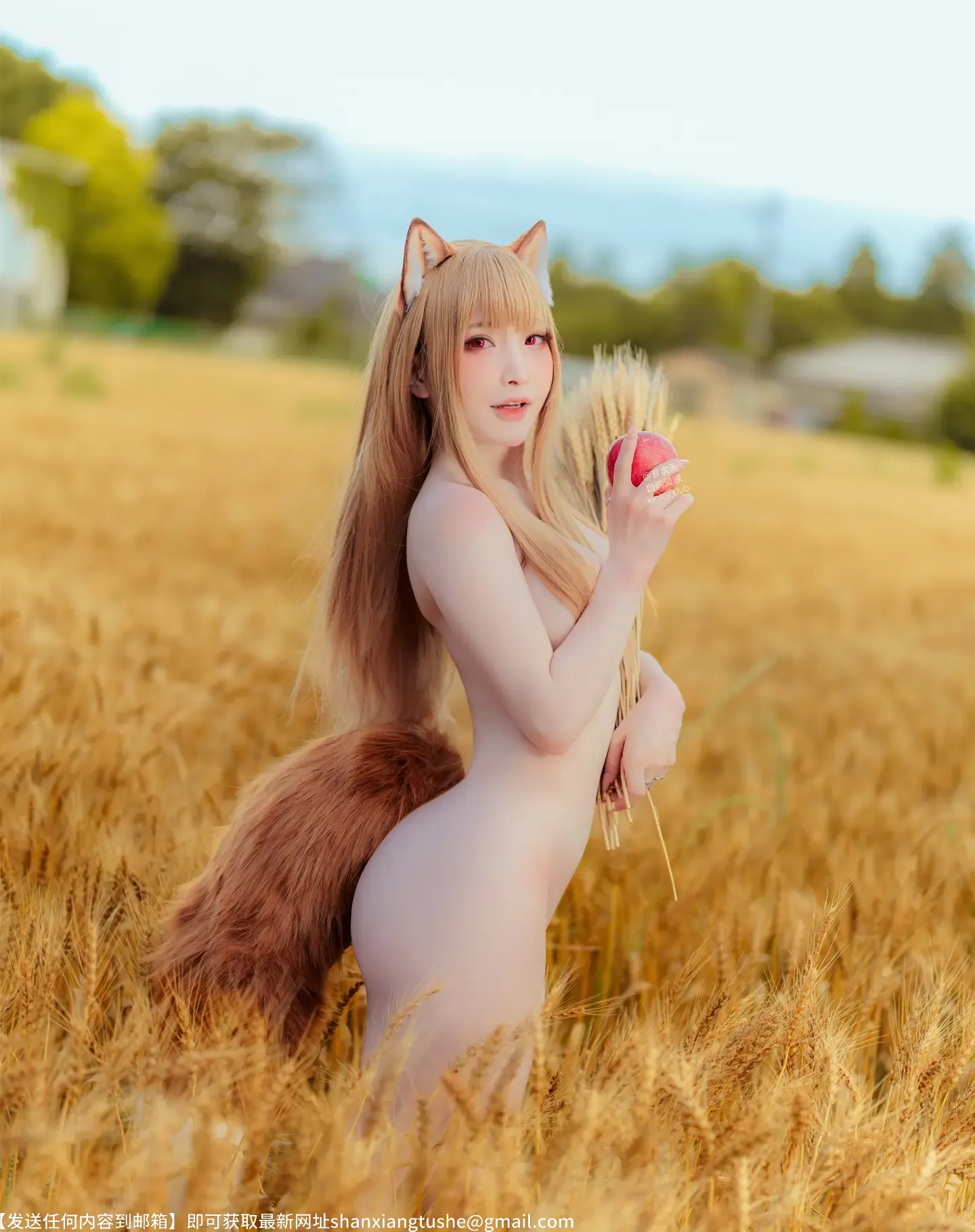 图片[4]-小丁 Holo Spice And Wolf-猎奇图库