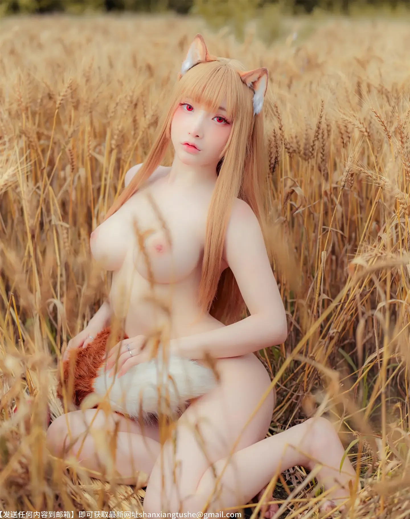 图片[8]-小丁 Holo Spice And Wolf-猎奇图库